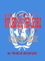 Bài 13. Em tìm hiểu về Liên hợp quốc