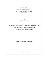 Áp dụng các hình phạt nhẹ hơn hình phạt tù theo pháp luật hình sự Việt Nam từ thực tiễn tỉnh Cà Mau (LV thạc sĩ)