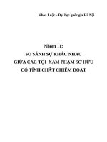 so sánh sự khác nhau giữa các tội xâm phạm sở hữu có tính chất chiếm đoạt 