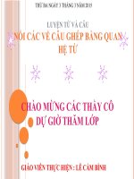 Tuần 20-21-22-23. Nối các vế câu ghép bằng quan hệ từ