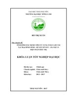 Tình hình mắc bệnh viêm tử cung ở đàn lợn nái tại trại bình minh   huyện mỹ đức   hà nội và biện pháp điều trị  