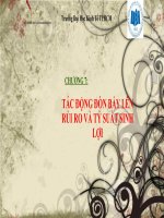 TÁC ĐỘNG đòn bẩy lên rủi RO và tỷ SUẤT SINH lợi 