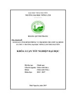 Đánh giá tình hình phòng và điều trị bệnh cho chó đến khám chữa tại bệnh xá thú y cộng đồng trường đại học nông lâm thái nguyên