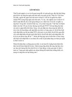 tìm hiểu về thuế xuất nhập khẩu và các hình thức trốn thuế để từ đó nâng cao về công tác quản lý và đề ra các biện pháp nâng cao hiệu quả quản lý thuế là một vấn đề cấp bách và quan trọng hiện nay  