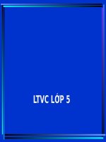 Tuần 6. Dùng từ đồng âm để chơi chữ