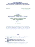 DÉTERMINANTS DE L’ADOPTION ET DE L’UTILISATION DU COMMERCE ÉLECTRONIQUE DANS LES PETITES ET MOYENNES ENTREPRISES (PME)  LE CAS DU VIETNAM