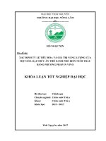 Xác định tỷ lệ tiêu hóa và giá trị năng lượng của một số loại thức ăn thô xanh phổ biến nuôi trâu bằng phương pháp in vivo  