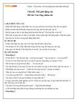 giao an mam non de tai con ong cham chi