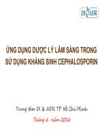 Ứng dụng dược lý lâm sàng trong sử dụng kháng sinh cephalosporin