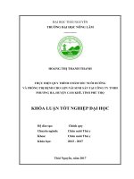 Thực hiện quy trình chăm sóc nuôi dưỡng và phòng trị bệnh cho lợn nái sinh sản tại công ty TNHH phương hà, xã hương lung   huyện cẩm khê   tỉnh phú thọ 