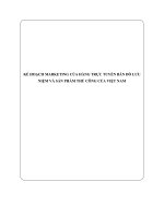 Kế hoạch marketing của hàng trực tuyến bán đồ lưu niệm và sản phẩm thủ công của việt nam