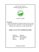 Theo dõi tình hình mắc bệnh sản khoa ở lợn nái nuôi tại trại lợn Trần Văn Đoàn xã Vũ Bản  huyện Bình Lục  tỉnh Hà Nam và hiệu quả của phác đồ điều trị.