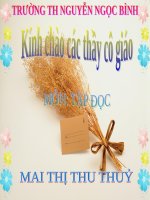 Tuần 33. Luật Bảo vệ, chăm sóc và giáo dục trẻ em