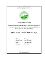 Đánh giá thực trạng bệnh viêm tử cung trên đàn lợn nái ngoại tại trại nguyễn thị nga   huyện thanh liêm   hà nam và áp dụng hai phác đồ điều trị 