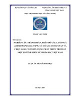 Nghiên cứu thành phần, phân bố các loài Nưa (Amorphophallus spp.) củ có glucomannan và chọn loài có triển vọng phát triển trồng ở một sô tỉnh miền núi phía Bắc Việt Nam