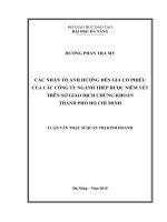 Các nhân tố ảnh hưởng đến giá cổ phiếu của các công ty ngành thép được niêm yết trên sở giao dịch chứng khoán Thành Phố Hồ Chí Minh