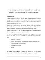 dự án xây dựng lộ trình phát triển sự nghiệp tại công ty APAPVE vietnam