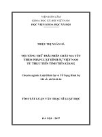 Tội tàng trữ trái phép chất ma tuý theo pháp luật hình sự việt nam từ thực tiễn tỉnh tiền giang (tt)