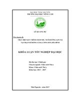 Thực hiện quy trình chăm sóc, nuôi dưỡng lợn nái tại trại Ngô Hồng Gấm  Lương Sơn  Hòa Bình.