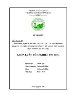 Tình hình hội chứng tiêu chảy ở lợn con tại công ty cổ phần Bình Minh  Mỹ Đức  Hà Nội và thử nghiệm một số phác đồ điều trị.