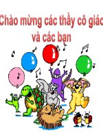 Tuần 4. Tiếng vĩ cầm ở Mỹ Lai