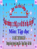 Tuần 11. Chuyện một khu vườn nhỏ