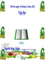 Tuần 29. Một vụ đắm tàu