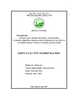 Áp dụng quy trình chăm sóc, nuôi dưỡng và phòng trị bệnh cho đàn lợn nái sinh sản tại công ty CP thiên thuận tường   cẩm phả   quảng ninh 