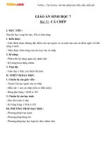 giao an sinh hoc 7 bai 31