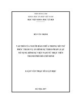 Vai trò của người bào chữa trong xét xử phúc thẩm vụ án hình sự theo pháp luật Tố tụng hình sự Việt Nam từ thực tiễn Thành phố Hố Chí Minh (Lv thạc sĩ)