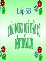 Tuần 31. Công việc đầu tiên