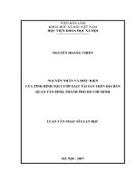 Nguyên nhân và điều kiện của tình hình tội cướp giật tài sản trên địa bàn quận Tân Bình, thành phố Hồ Chí Minh (LV thạc sĩ)