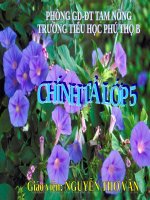 Tuần 34. Nhớ-viết: Sang năm con lên bảy