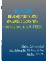 Chiến lược thâm nhập thị trường singapore của sản phẩm nước mía đóng lon su fresh