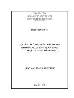 Tội tàng trữ trái phép chất ma tuý theo pháp luật hình sự Việt Nam từ thực tiễn tỉnh Tiền Giang