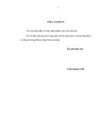 Đào tạo nguồn nhân lực công nghệ thông tin cho khu vực hành chính công của Tỉnh Bình Định