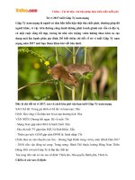 tu vi tuoi giap ty nam mang