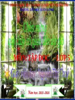 Tuần 29. Một vụ đắm tàu