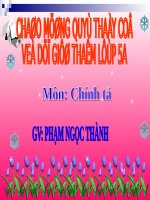 Tuần 15. Nghe-viết: Buôn Chư Lênh đón cô giáo