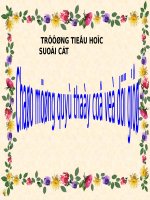 Tuần 10. Ôn tập giữa học kì I