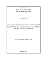 Nhân thân người phạm tội cố ý gây thương tích hoặc gây tổn hại cho sức khỏe của người khác trên địa bàn tỉnh Bình Phước (LV thạc sĩ)