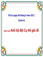 Tuần 4. Nghe-viết: Anh Bộ đội Cụ Hồ gốc Bỉ