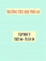Tuần 30. Tà áo dài Việt Nam
