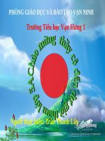 Tuần 12. Hành trình của bầy ong