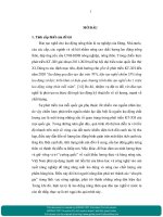 Đào tạo nghề cho lao động nông thôn thành phố Tam Kỳ, tỉnh Quảng Nam