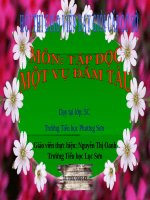 Tuần 29. Một vụ đắm tàu