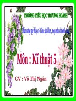 Bài 19. Lắp rô-bốt