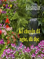 Tuần 12. Kể chuyện đã nghe, đã đọc (có nội dung bảo vệ môi trường)