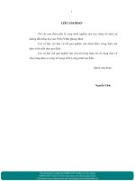 Các giải pháp thu hút nguồn nhân lực trình độ cao học cho các cơ quan nhà nước ở Tỉnh Quảng Nam.