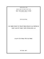 Các biện pháp tư pháp theo pháp luật hình sự Việt Nam từ thực tiễn tỉnh Long An (LV thạc sĩ)